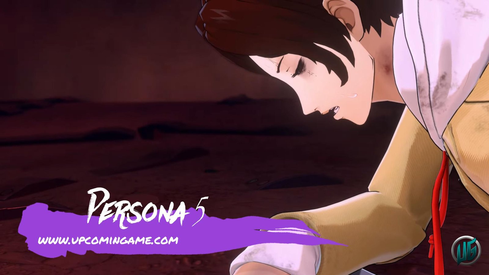 Persona 5: The Phantom X / Upcoming Game